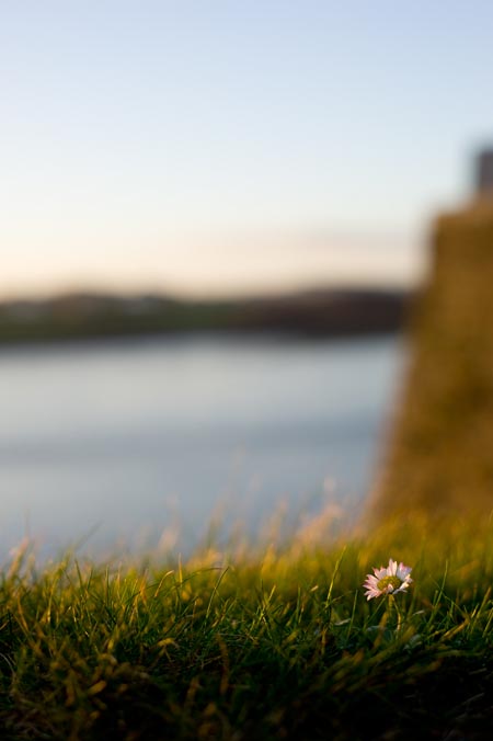 stephanie, ruth, marriott, photographer, photo, Photography, portfolio, site, with landscape, portrait, and shallow depth of field