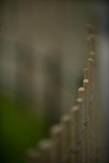 stephanie, ruth, marriott, photographer, photo, Photography, portfolio, site, with landscape, portrait, and shallow depth of field